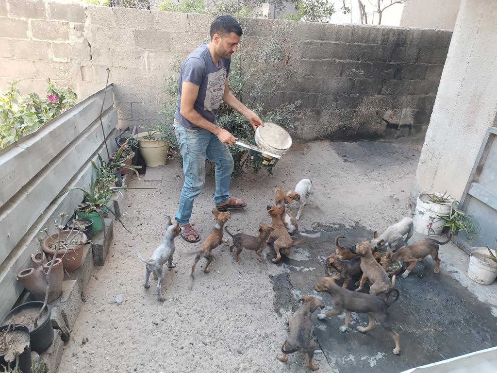 Hishamsousi's tweet photo. 😢💔The truth is painful, 😿🙏there is nothing we can offer the puppies today, 😰💔😭the situation is deteriorating and we are all going to the abyss, everyone here is hungry and food is becoming scarce,
🆘🙏🐾🐕please help urgently
🐾https://t.co/mlZdDKB7Wk🐕 https://t.co/TBG03Txs0L