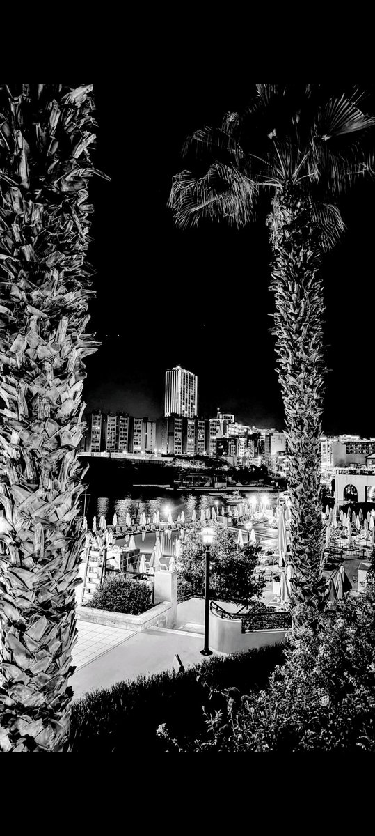 SorphyPa's tweet image. The force was in order.
Where it all began.
Beautiful memories,
merged with future plans.
There was love,
there always had been.
She was okay - again.
So was I.
True romance,
refuses to fucking die.
Malta