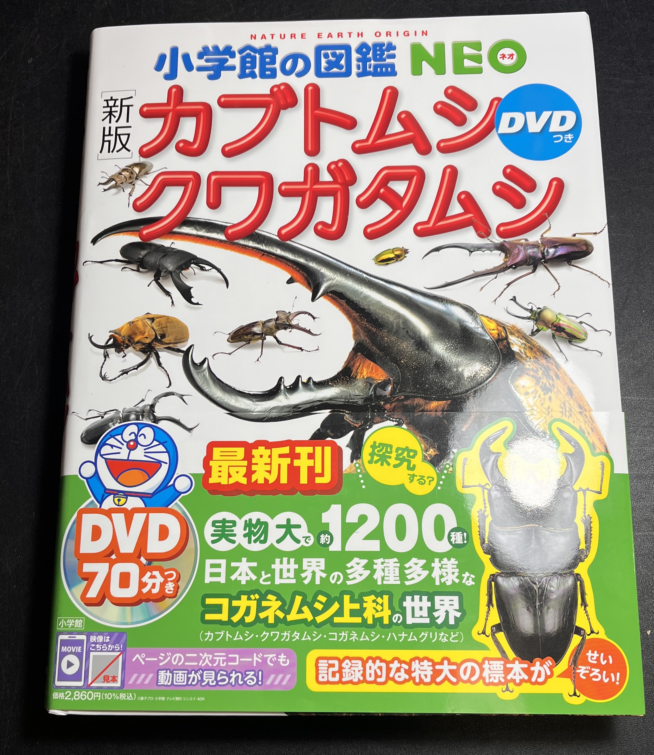 WORLDWIDE DOOR SNAILS　キセルガイ　洋書　新品 わたくわ on X: 