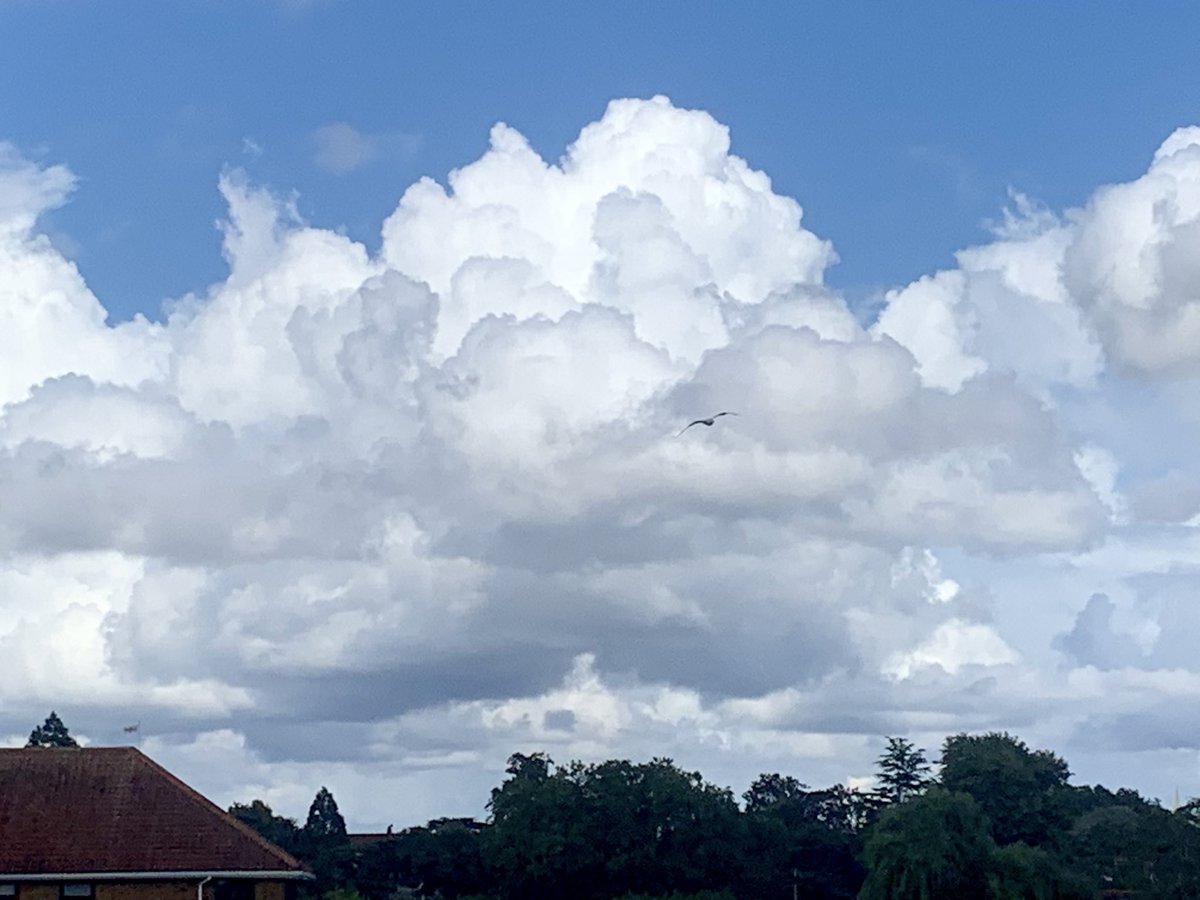 ruths_gallery's tweet image. Been enjoying watching the beautiful white cotton wool clouds over Twickenham this afternoon.
Such a wonderful show of nature.
@CloudAppSoc #clouds @metoffice #loveukweather #sundayvibes @SallyWeather #viewfrommybalcony #cumulus
