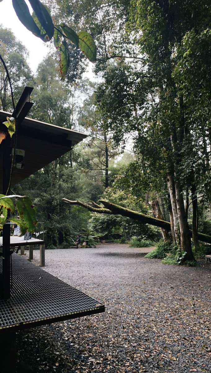 Bandung to the bone 🥶