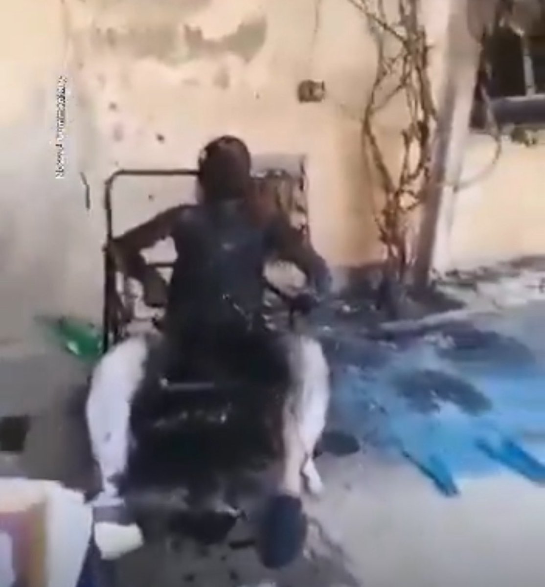 pmg2e5jg's tweet image. Jihadists in Syria burn a Druze sheikh alive after tying him to a chair.
Politicians who welcomed al-Julani...this is what you support