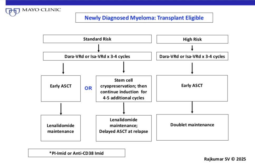 Approach to newly diagnosed myeloma has become streamlined. Bookmark.