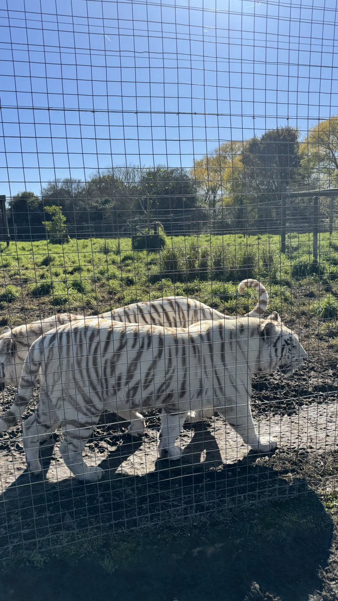 ❤️🇿🇦 South Africa