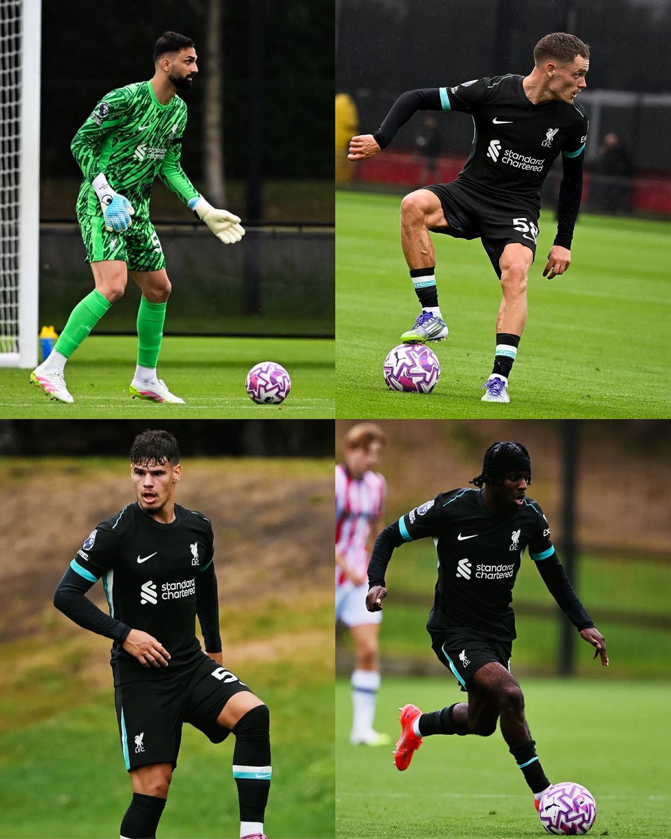 𝗜𝘃𝗮𝗻 𝗦𝗰𝗵𝘄𝗮𝗸𝗼𝗳𝗳 tweet media