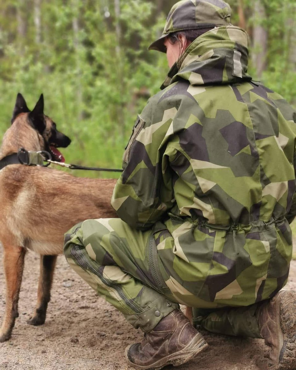 BastardK9's tweet image. We train and donate highly skilled rescue dogs to Ukraine. These dogs are sent to search for survivors in collapsed buildings — where every second counts.
We are now raising funds to purchase young, driven dogs with the potential to become heroes.
PP: info@bastardk9.com