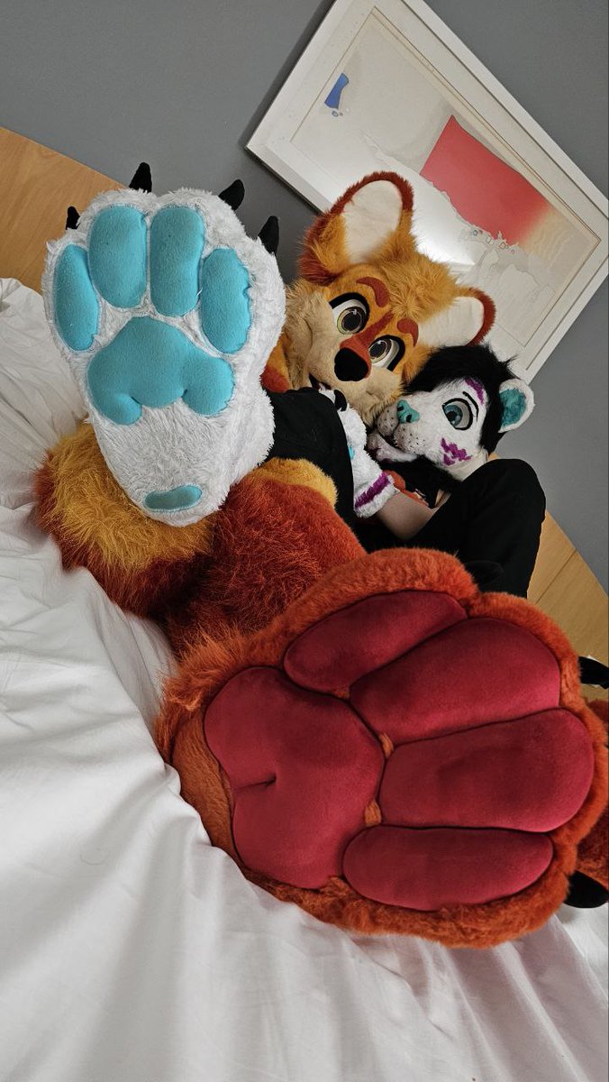 Cuddle time at #brasilfurfest2025 with the cutie pie <a href="/markovtigon/">Lambert Markov AD</a> 🥰