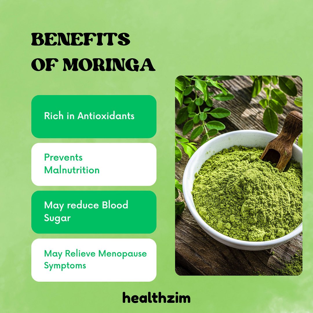 Unlock the power of nature with Moringa! 🌱 Rich in antioxidants, a safeguard against malnutrition, and potentially helpful for blood sugar and menopause symptoms. #MoringaBenefits #HealthyLiving #Superfood #Healthzim