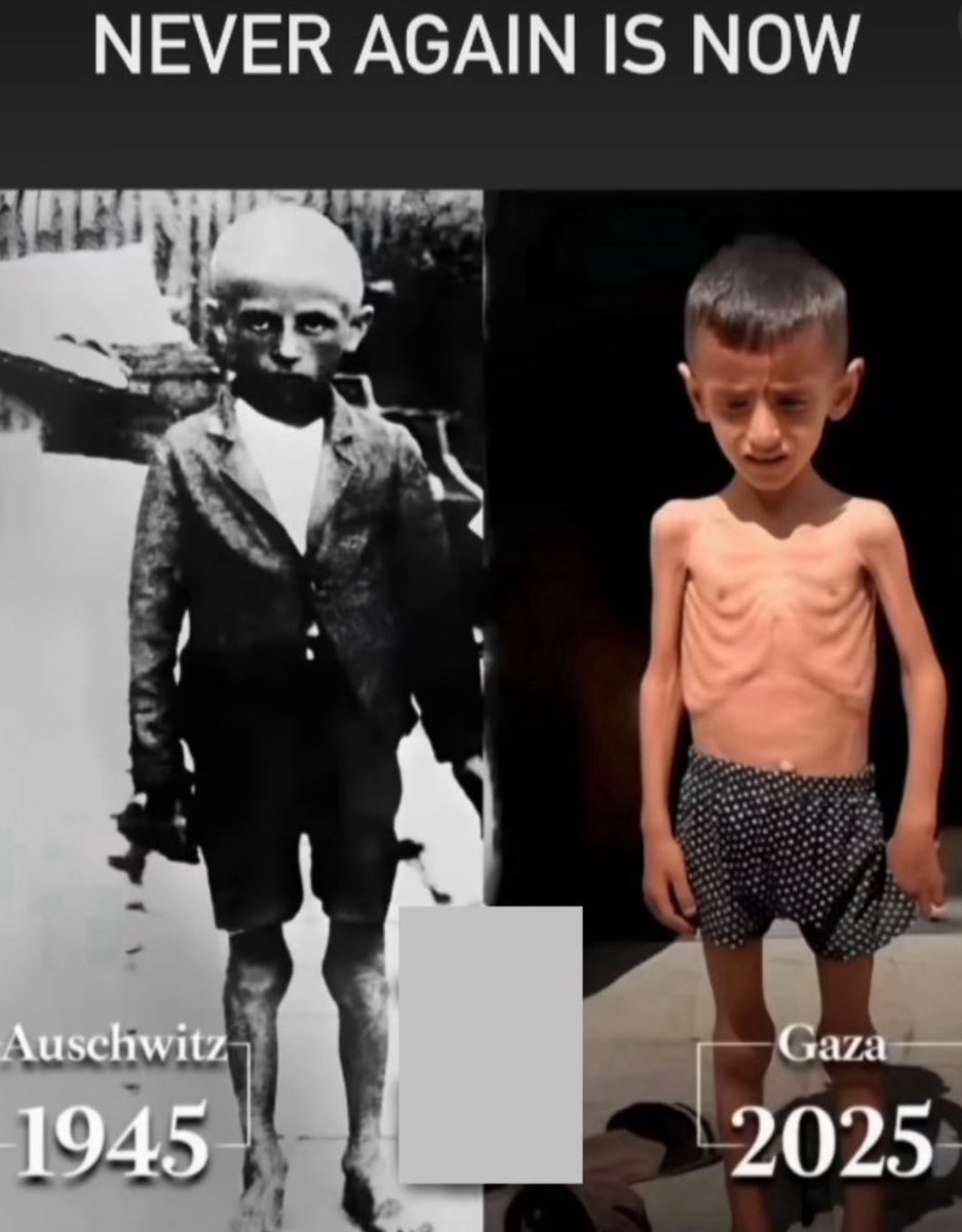 omarsuleiman's tweet image. The difference is this time it’s being live-streamed.
The lie of “Never Again” that we’ve been told as millions of people breathe their last with thousands of trucks at the border being denied entry by Israel.
Damn the criminals and every complicit party in this holocaust.