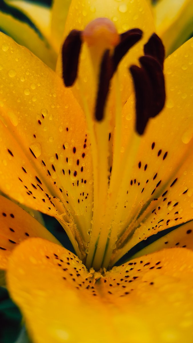 __Auron__'s tweet image. 