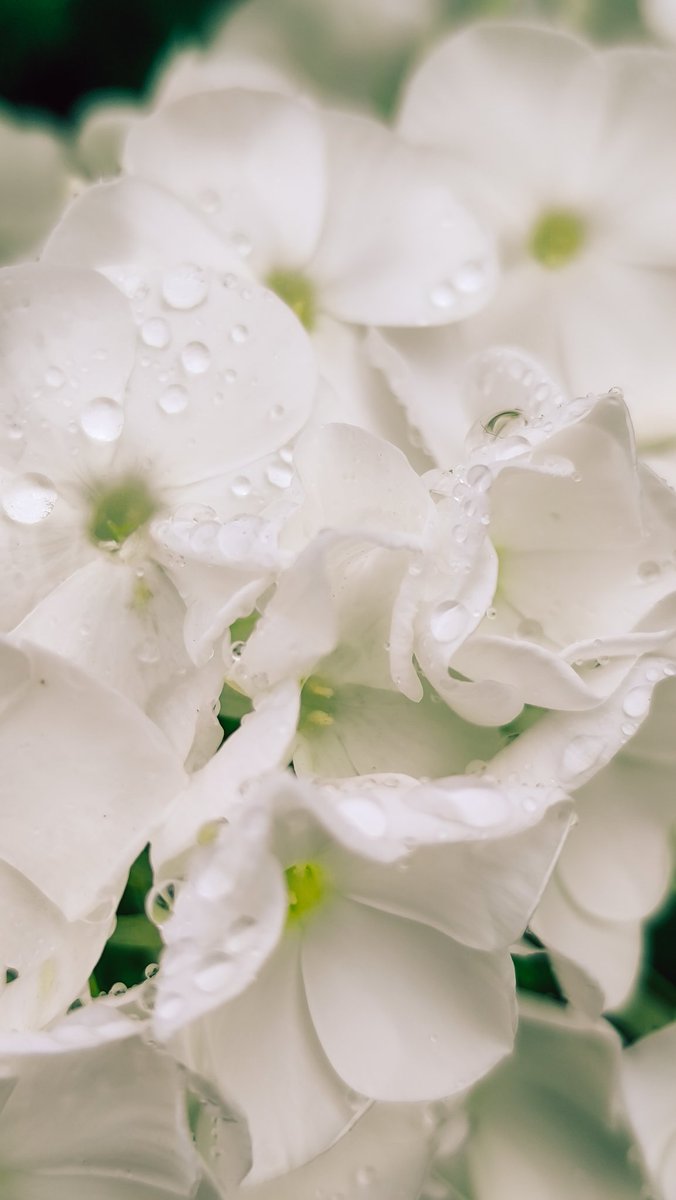 __Auron__'s tweet image. 