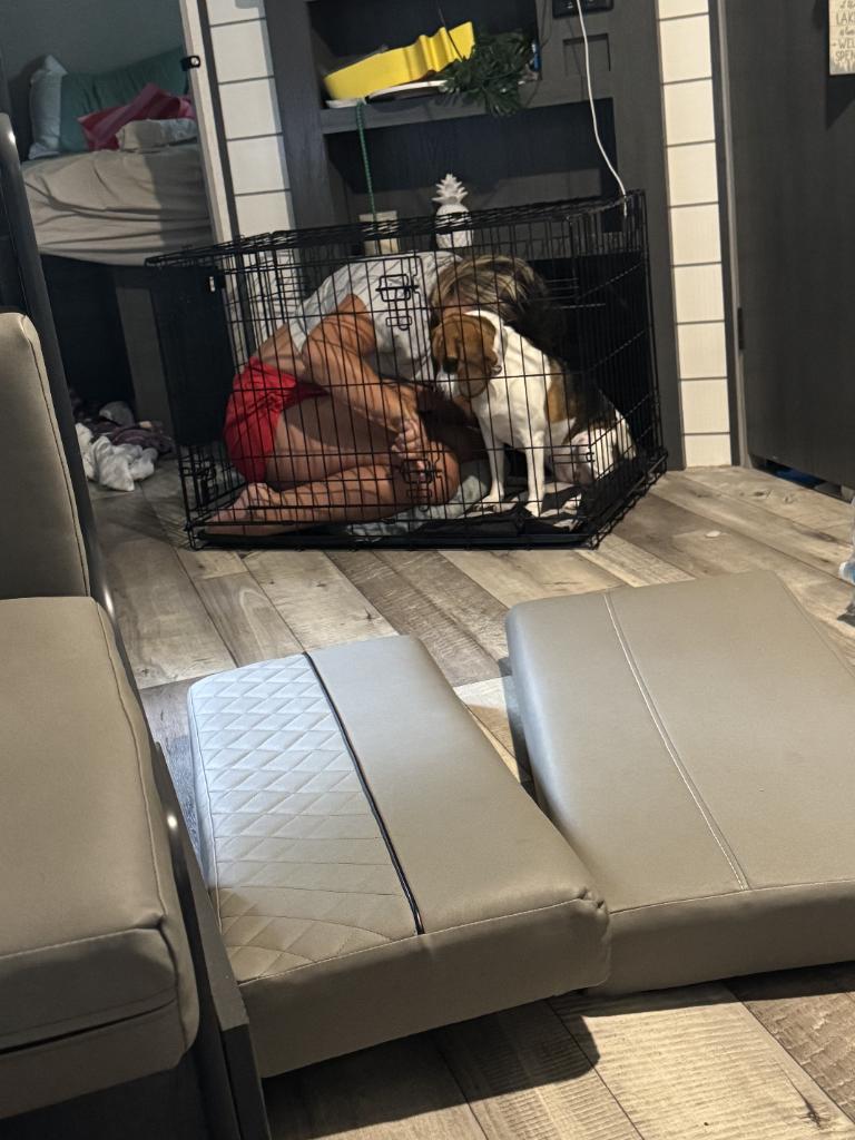 Brothers these days... lol