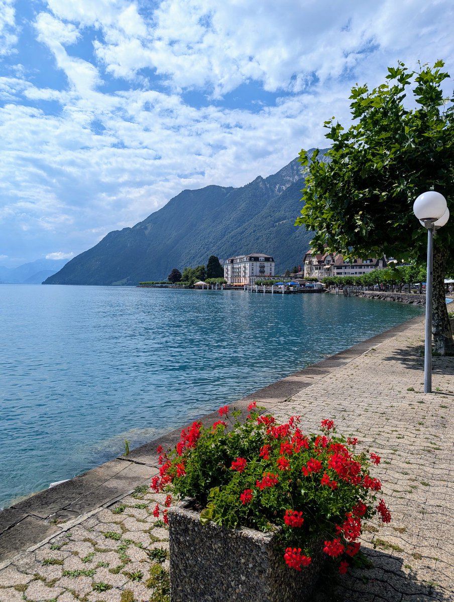 HikingSchweiz's tweet image. A walk along the waterfront in Brunnen, Switzerland 🇨🇭. The flowers plus the views are not too shabby 😉