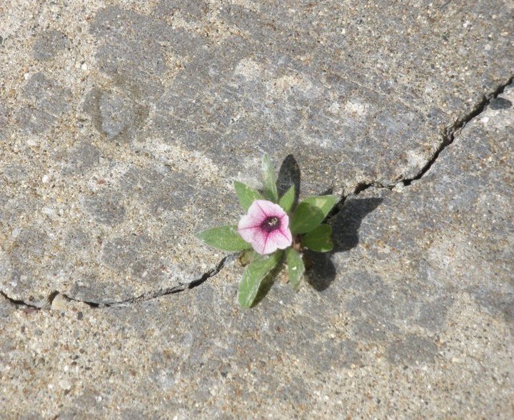 ِ (@controdicting) on Twitter photo 