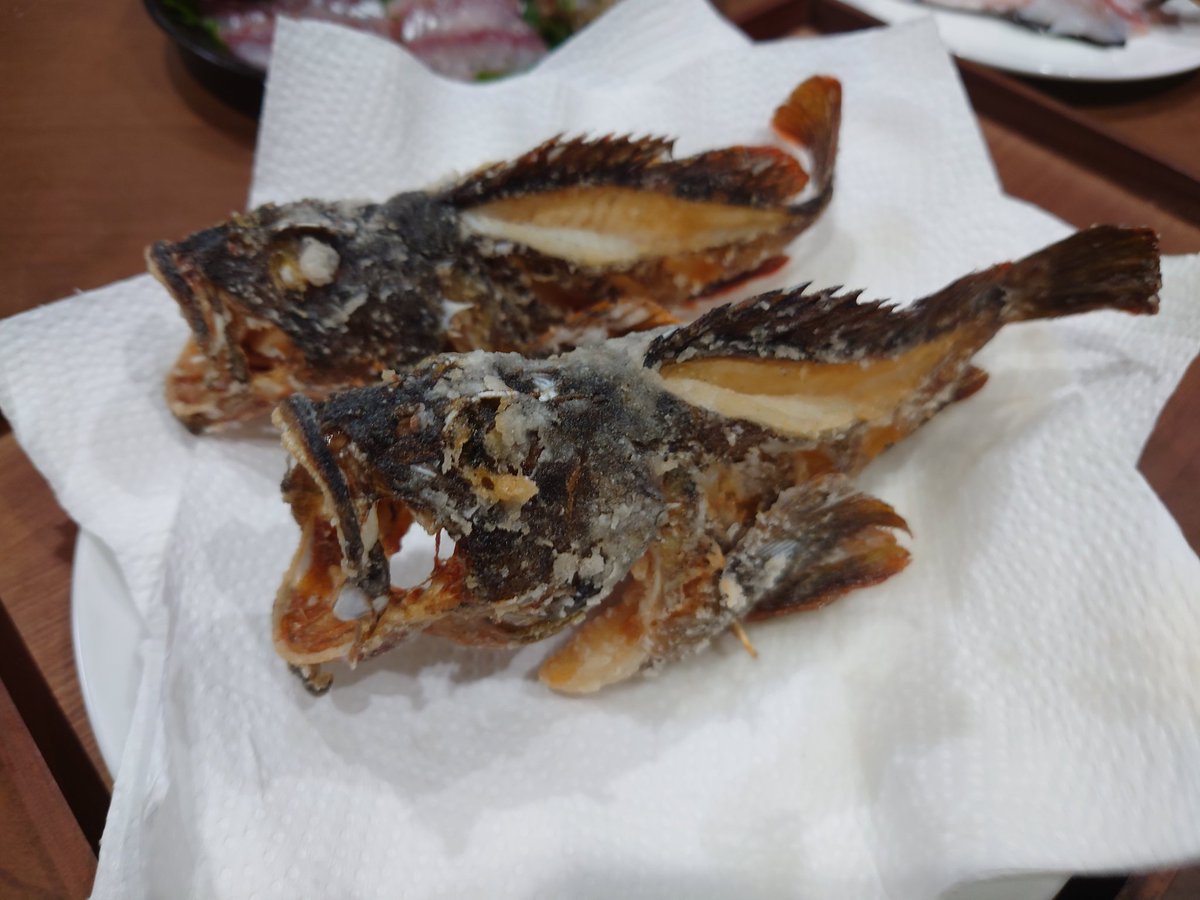 player_ym_cs2's tweet photo. ベタ凪のためアジ釣りに行ってきました🎣
根魚とかイシダイも釣れたので豪勢✨
友達も呼んで美味しく頂きました
ご馳走さまでした😌🙏 https://t.co/0uorB6rjc6