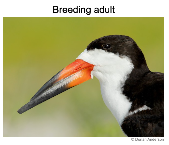 thinkagainer tweet media