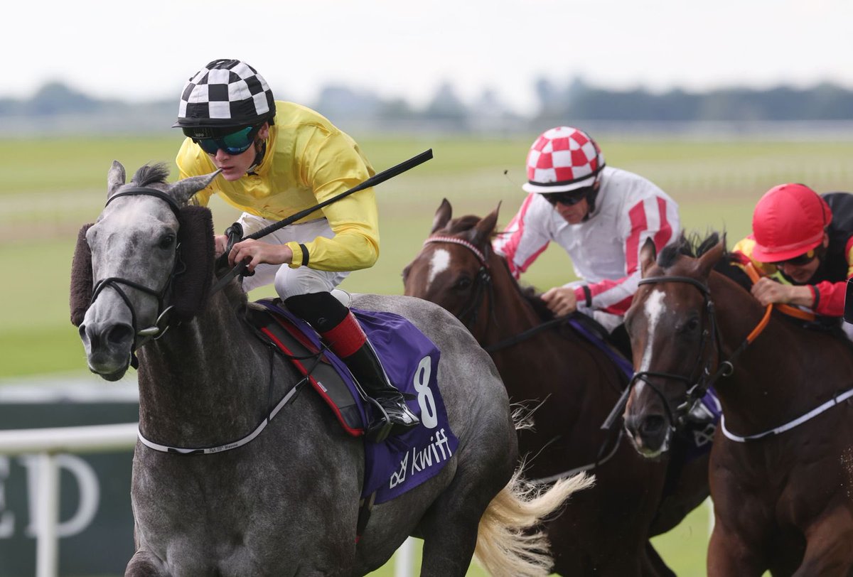 curraghrace's tweet image. Cuban Grey brings the energy to the Kwiff Supercharge Series Handicap under Rory Mulligan for Patrick J McKenna. Another electric performance on a Little Oaks Family Day 👏✨
Congratulations to all connections!