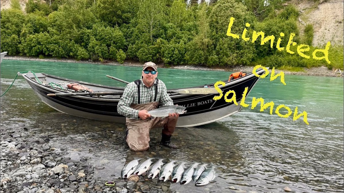 akkingon's tweet image. In awesome salmon fishing trip in Alaska.
youtu.be/ACZ0YbfxqzI