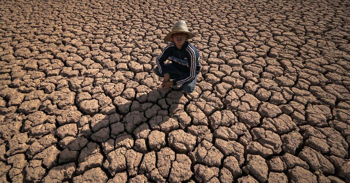 The land dries up in Morocco, environmental experts say
 maghrebi.org/2025/07/20/the…