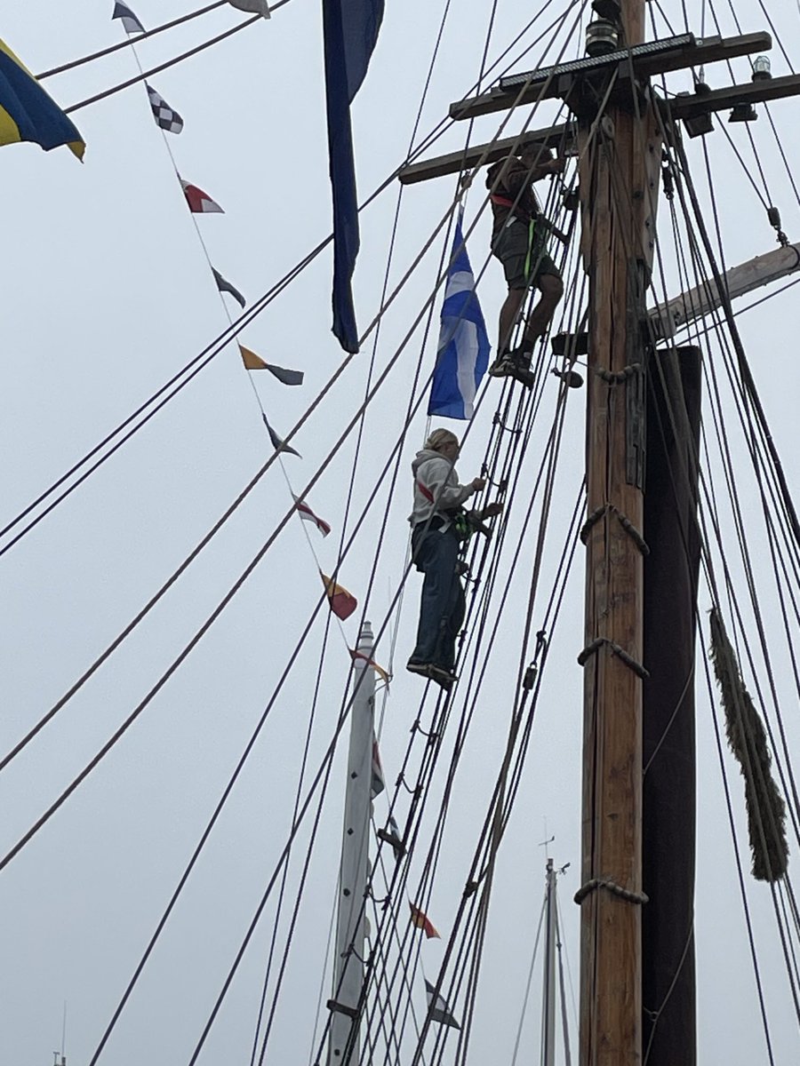 Away to see the Tall Ships this afternoon