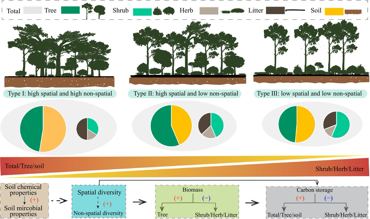 ForestryRes's tweet image. #ForestryRes #storage #masson #dynamics
Dive into forest carbon storage! 🌳🔍 Spatial diversity impacts carbon pools more than non-spatial diversity in Masson pine forests.
@MaximumAcademic @Forestecosyst @ecology_forest
Details: maxapress.com/article/doi/10…
