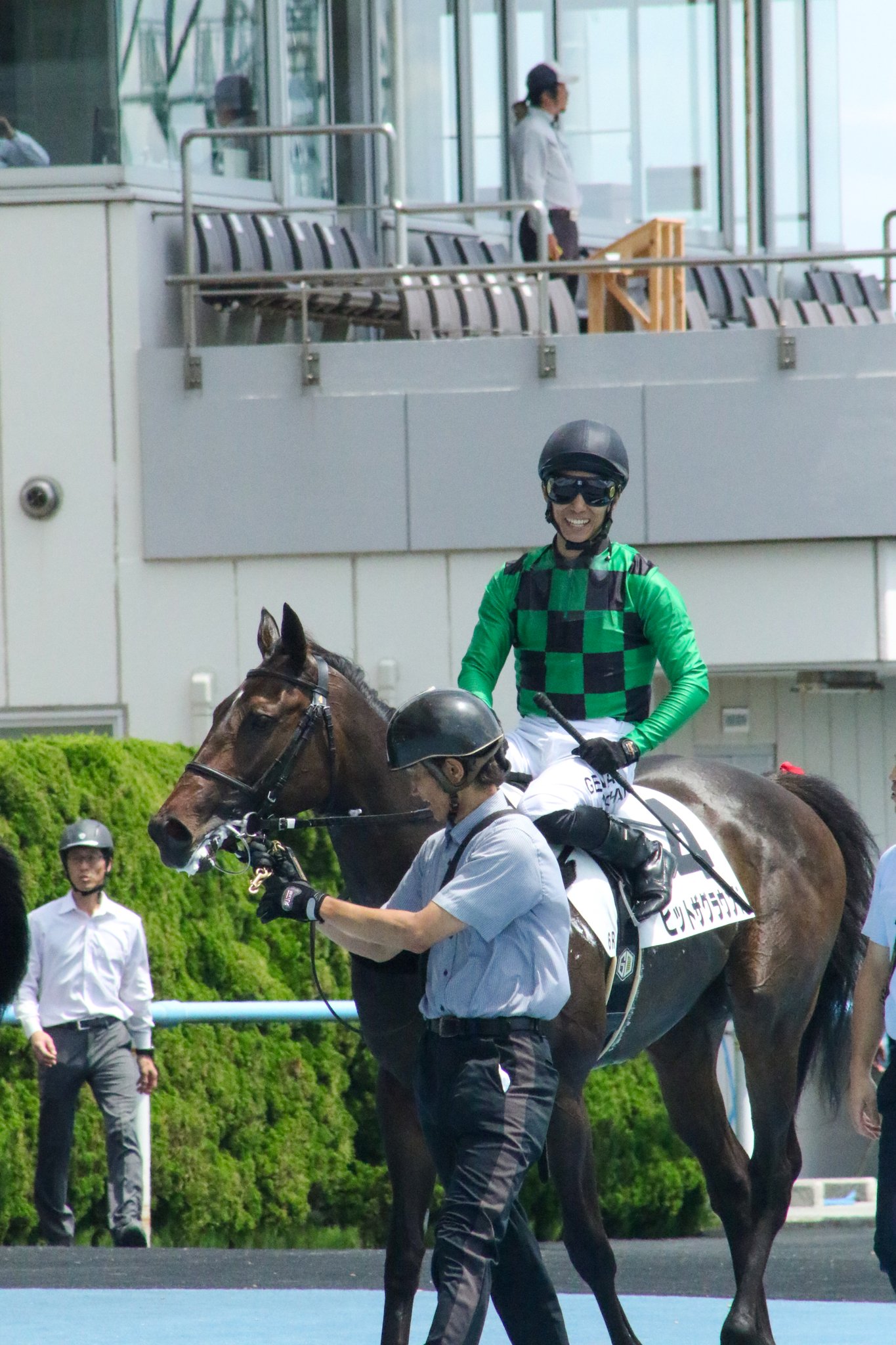 馬上の人 鳥野 紗々実 on X: 