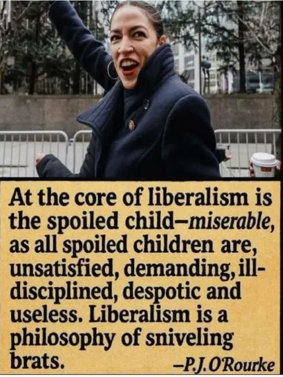 donruyle's tweet image. From Gab.