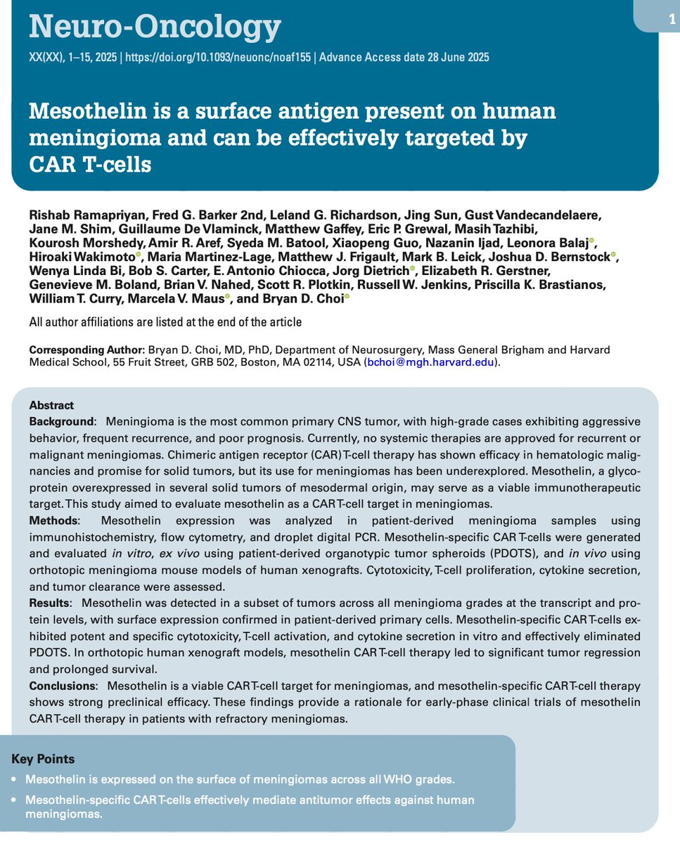 rishabrama's tweet image. 🚨1/8 Excited to share the final version of our #meningioma #mesothelin #CART-cell paper, now published @NeuroOnc with corrected proofs! This preclinical work lays the foundation for applying CAR T-cell therapy to aggressive and treatment-refractory meningiomas. Highlights ⬇️