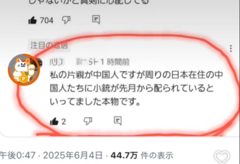 🇯🇵在住の🇨🇳人に達に小銃が配られてる😱
国防動員法発令して🇯🇵国民56される😭