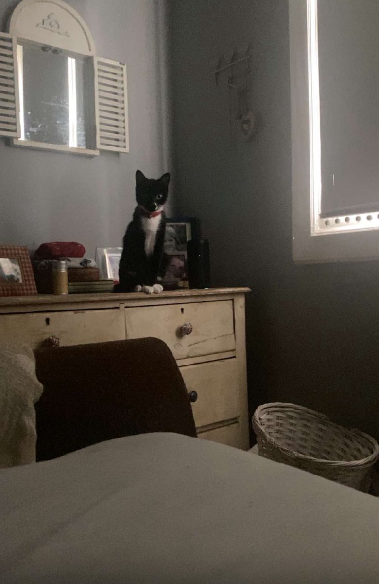 Whenever I get the feeling I’m being watched, it’s usually by this idiot.