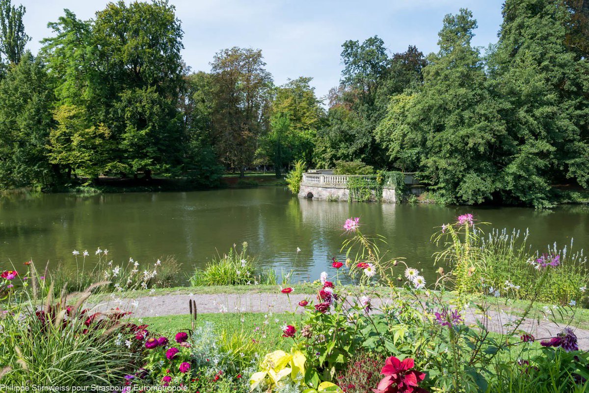 ❗️Conditions météorologiques difficiles
Fermeture des grands parcs et cimetières
 Conditions météorologiques difficiles (vents forts et pluie soutenue), la Ville de Strasbourg a décidé par mesure de précaution de fermer, à partir de 16h, les six parcs et les neuf cimetières