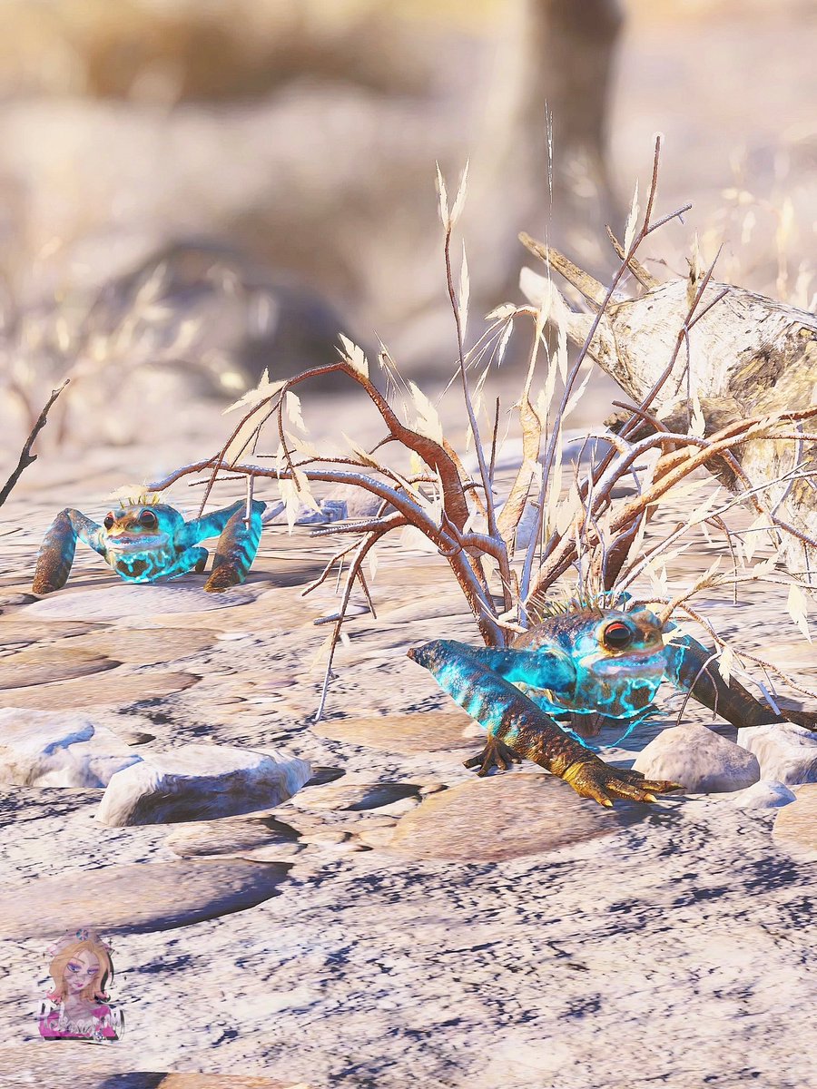 Insanely beautiful frog 😍Heliosarmy with love ✨The Magic of moments in #Fallout76 ✨