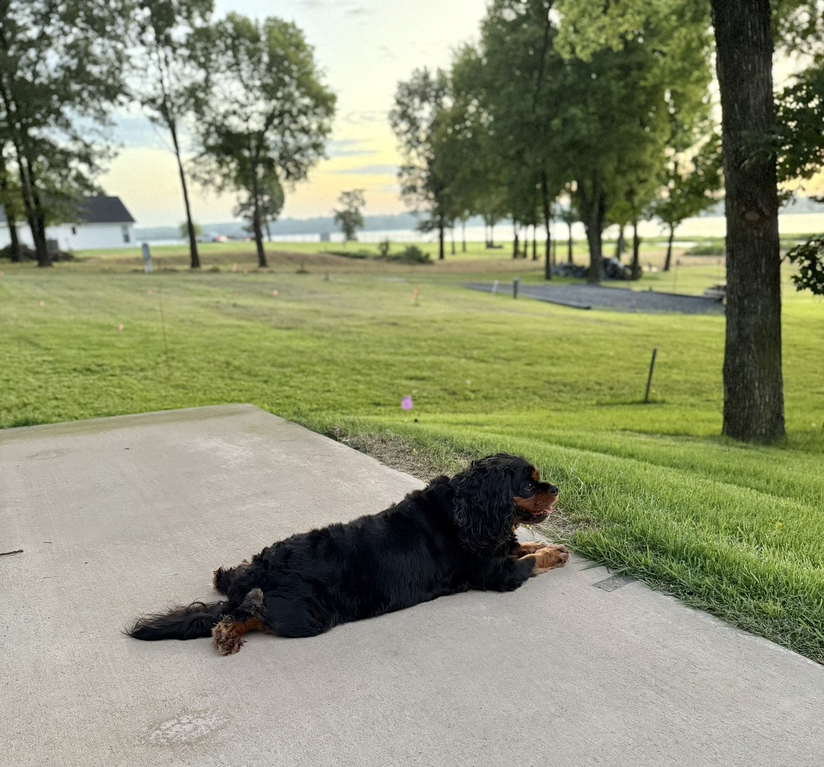 _Terry_Roden's tweet image. Beautiful morning with the boys.