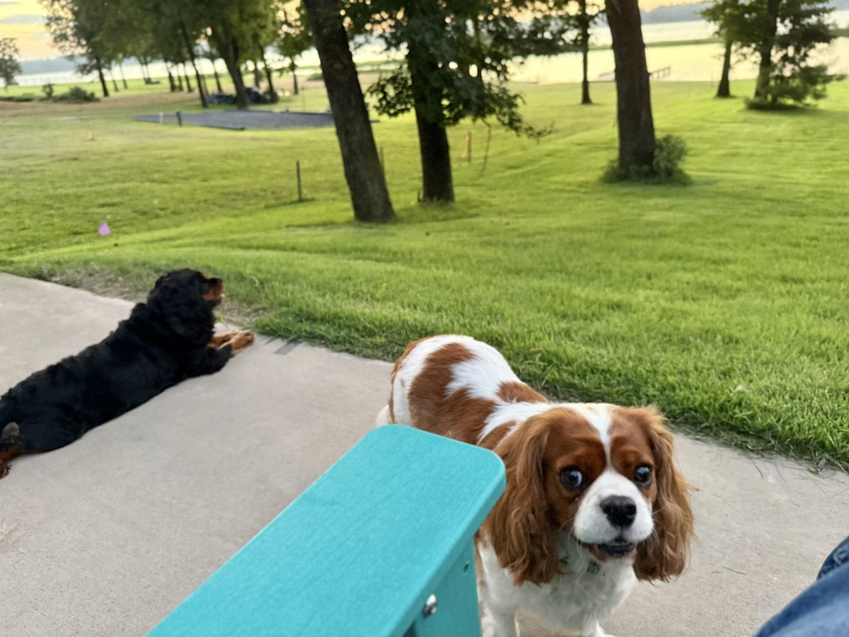 _Terry_Roden's tweet image. Beautiful morning with the boys.