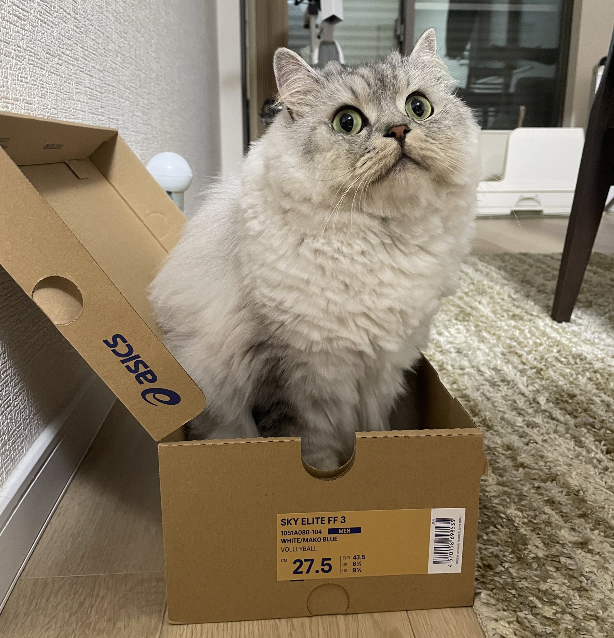 みかん on X: 