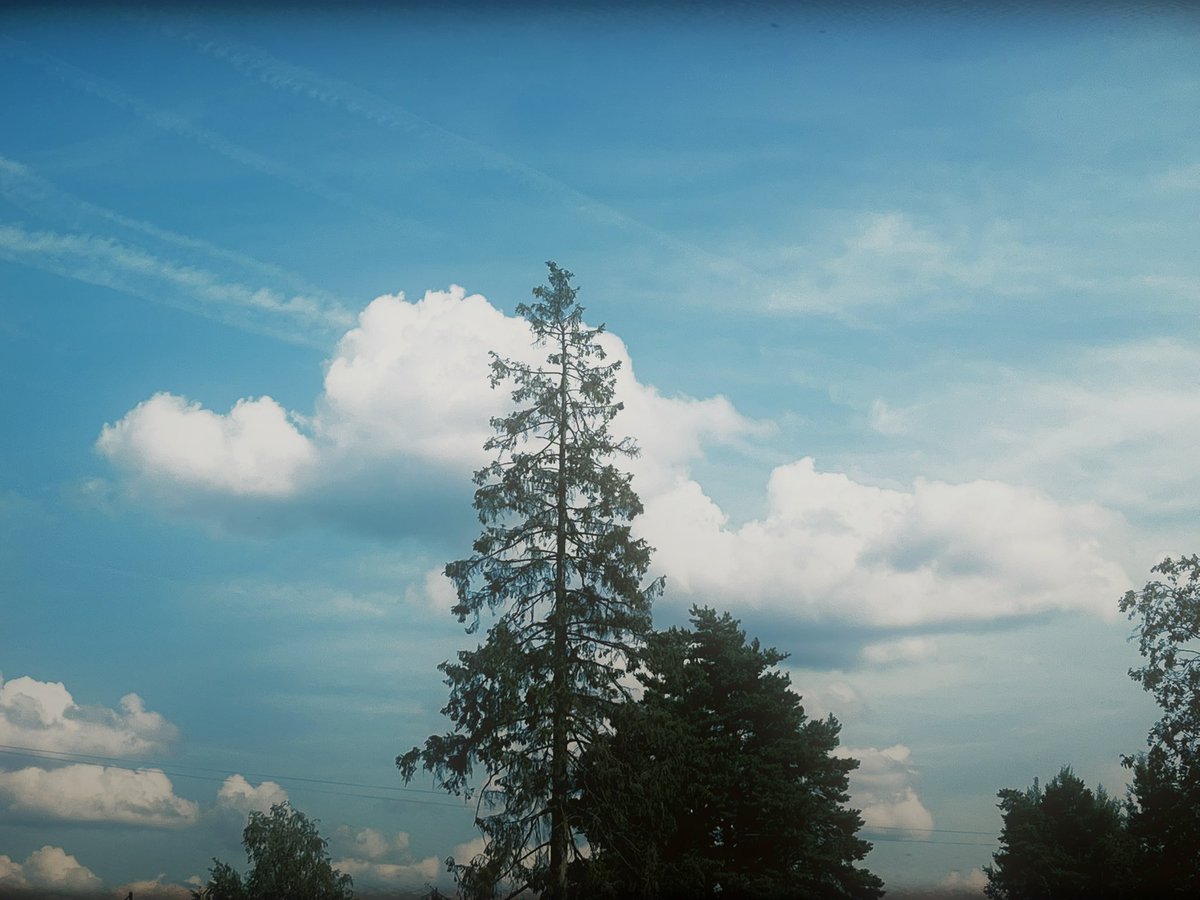 такой жаркий летний день вчера был, а сегодня еле успели в булочную между ливнями