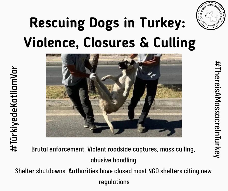 Today I am presenting a number of slides which detail the climate we are working in right now in Turkey  

This is the third
#ThereIsAMassacreInTurkey #TürkiyedeKatliamVar