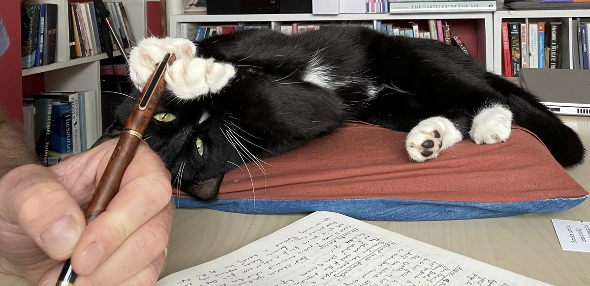 Ianfrost28's tweet image. Paws-on editing