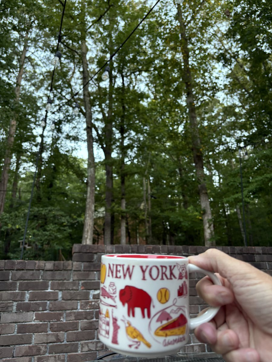 Bama26Point2's tweet image. 6am back patio Sunday coffee in a manageable 74°F * lazy morning of watching the Open Championship (can anyone catch Scottie) and stage 15 of the Tour de France (transition stage that will set up the final chance for Vingegaard on Tuesday) #javajunkie