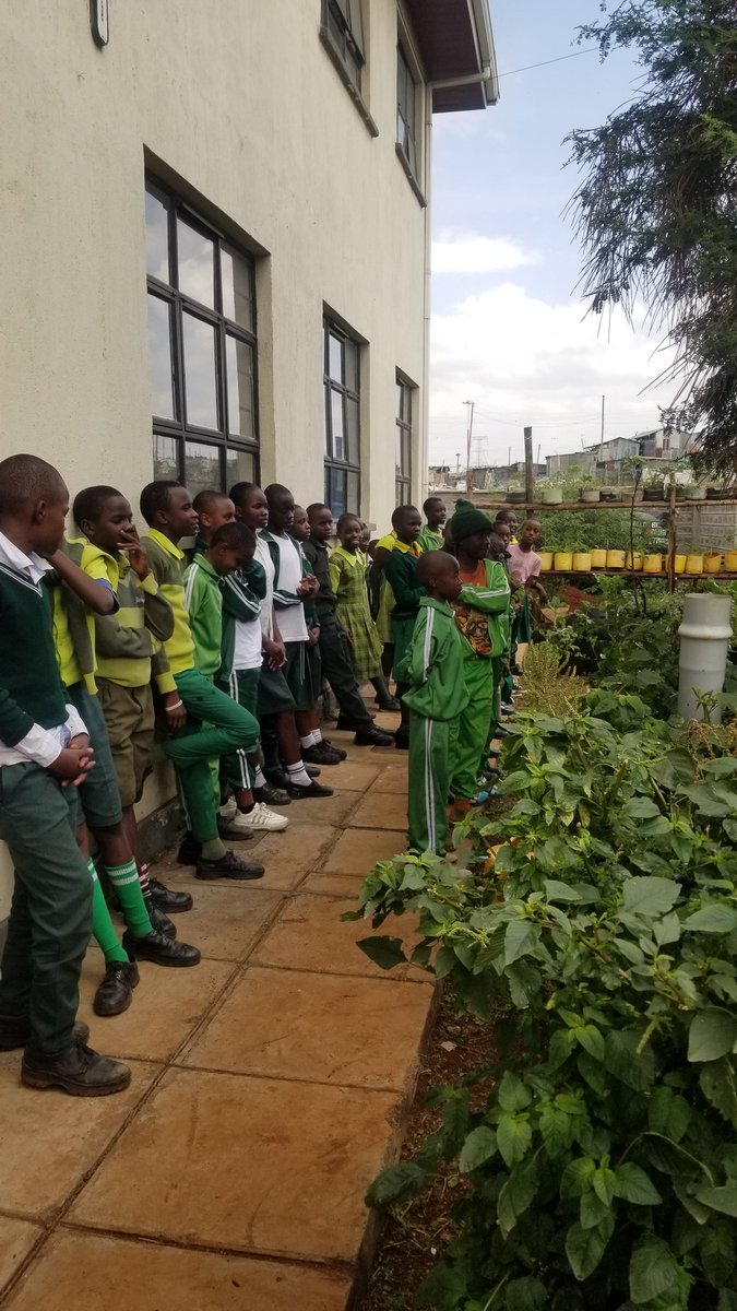 ShakurNjeru1's tweet image. Pupils, parents & teachers joined us in the garden to plan for better school food! Under the CHEeFs
We planted greens, talked soil health, & launched the Young Food Systems Champions in Mukuru.
We鈥檙e ready to scale support us!
#RightToFood #SchoolFeeding @aphrc @Zero_Hunger_Ke