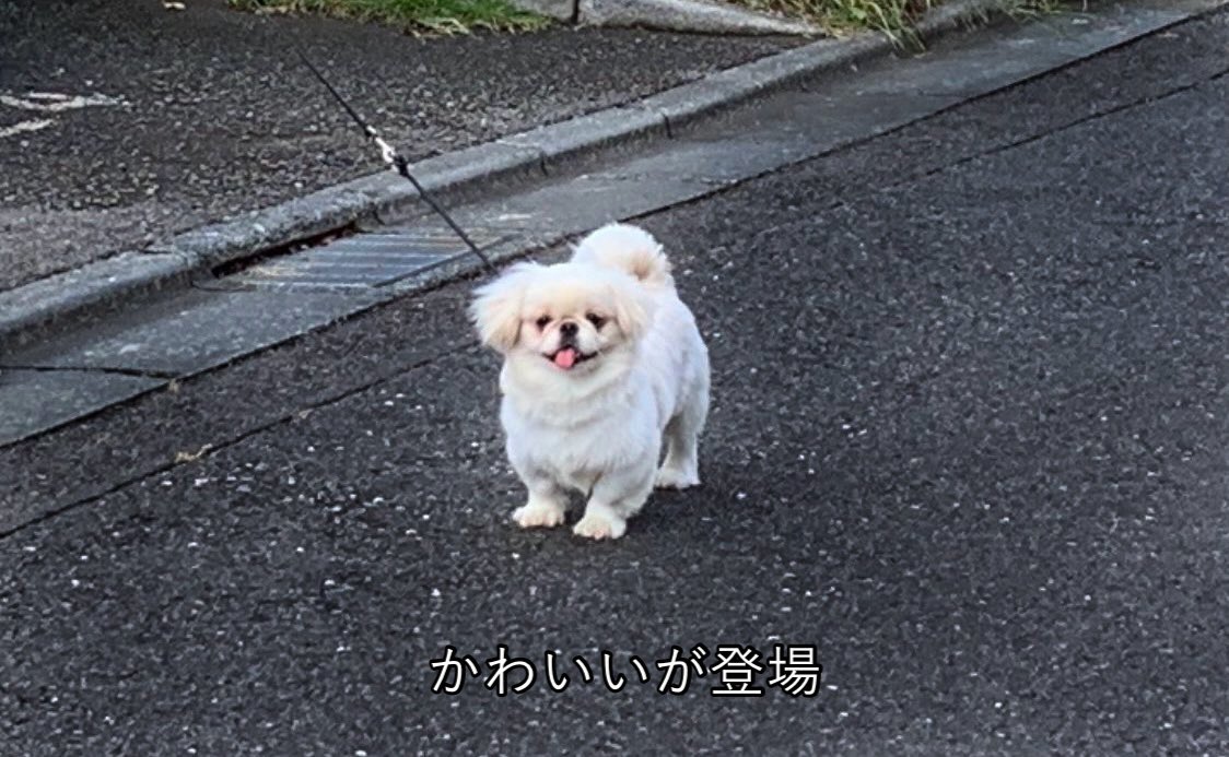 𝐿𝑂𝑉𝐸𝑌𝑂𝑈 (@the_mucho_world) on Twitter photo 