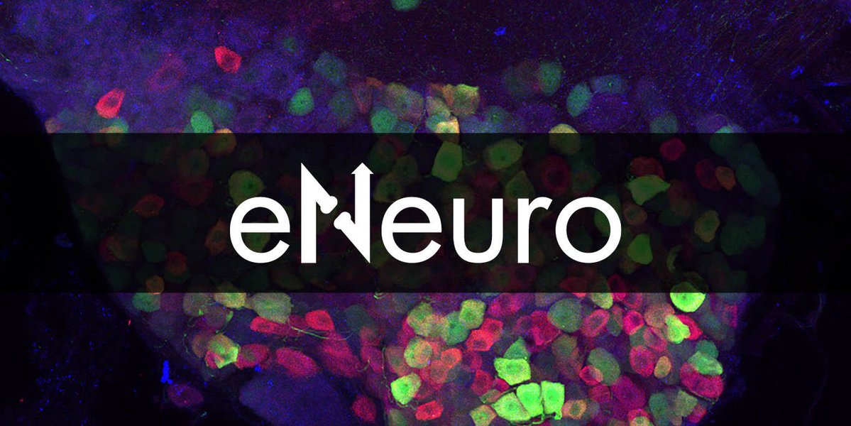SfNJournals's tweet image. #eNeuro offers authors the choice to receive double-anonymous review. The Reviewing Editor & 2 reviewers will consult to reach a consensus on the decision & draft a synthesis of reviewers' comments that are published with each accepted paper. Learn more: vist.ly/3yhqv