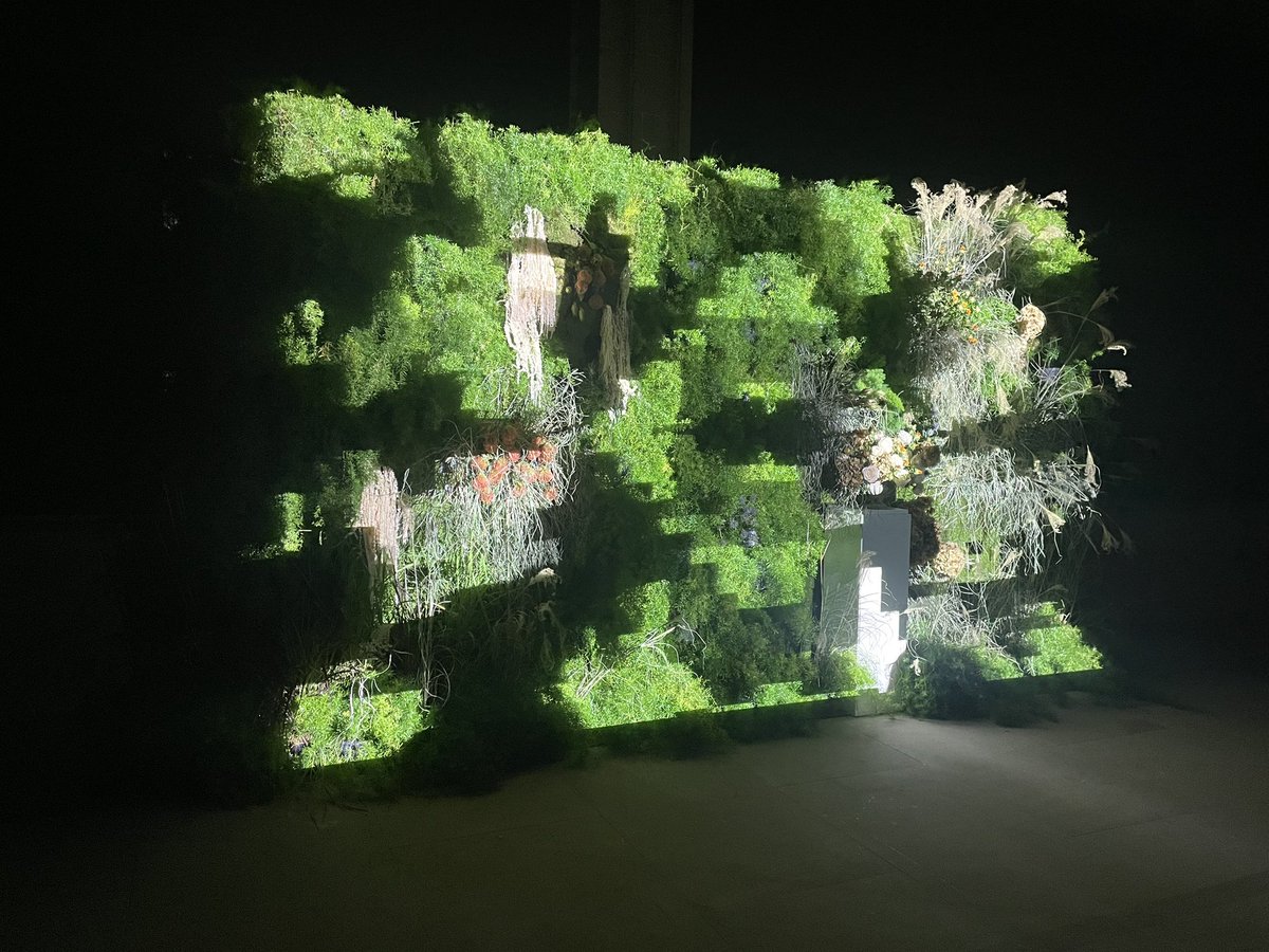 KristinaZA's tweet image. Atzo #SanTelmoGaua. Espektakularrak Serten margoak eta ikusgarrie ere Jaime de Los Rios-ek museorako egindako “GEOMETRÍA SECRETA PARA UN JARDÍN ILUSTRADO” obra. Landareak eta proiekzioa