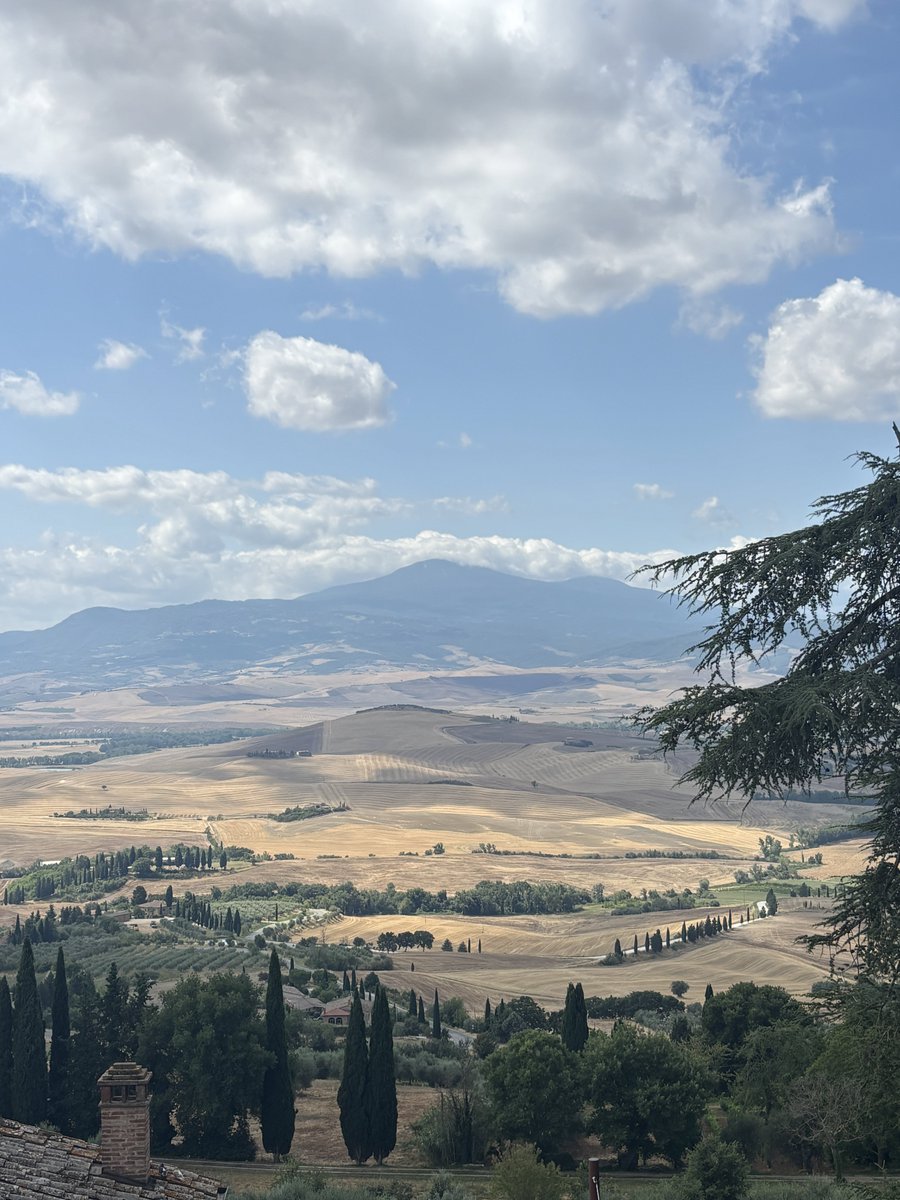 easyfirenze's tweet image. 仿¥ã¯é²ãè¯ããç©ãããªé¢šãå¹ããŠãæ¥é°ã«ãããšå±
ç ãããããªãã
