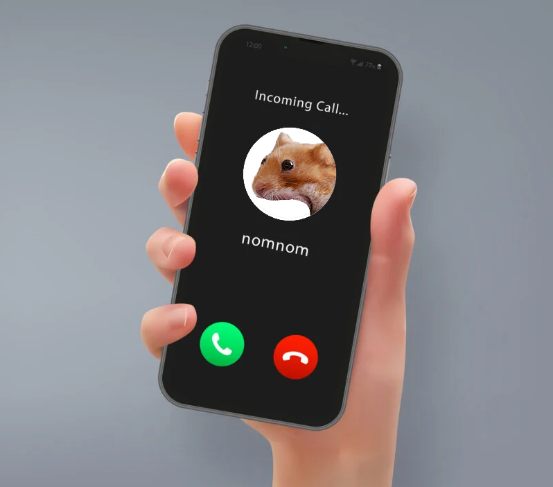 GM! Are you picking up?
$nomnom