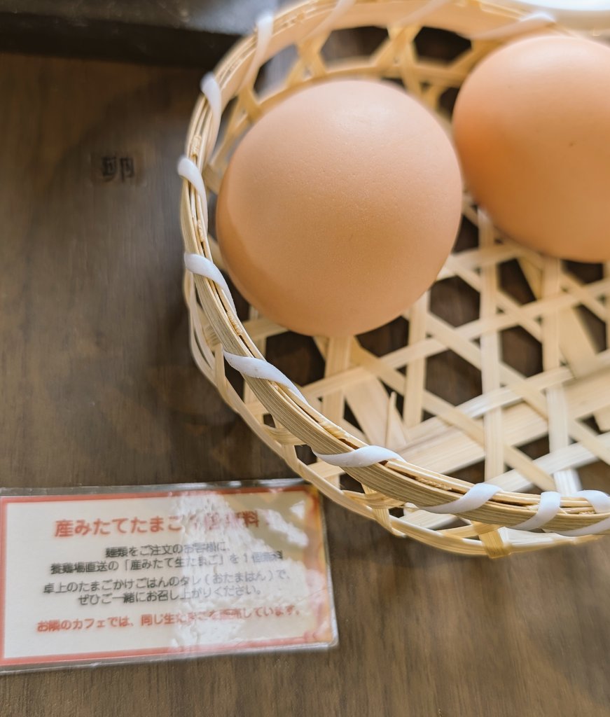コッコテラスのラーメン🍜🐥

めっちゃ待ったけど…
待った甲斐あった(*,,ÒㅅÓ,,)و
ラーメンもTKGも最高に美味しかった😋
また絶対に食べに行く🤭

 #とりたまファーム
 #清田区ラーメン