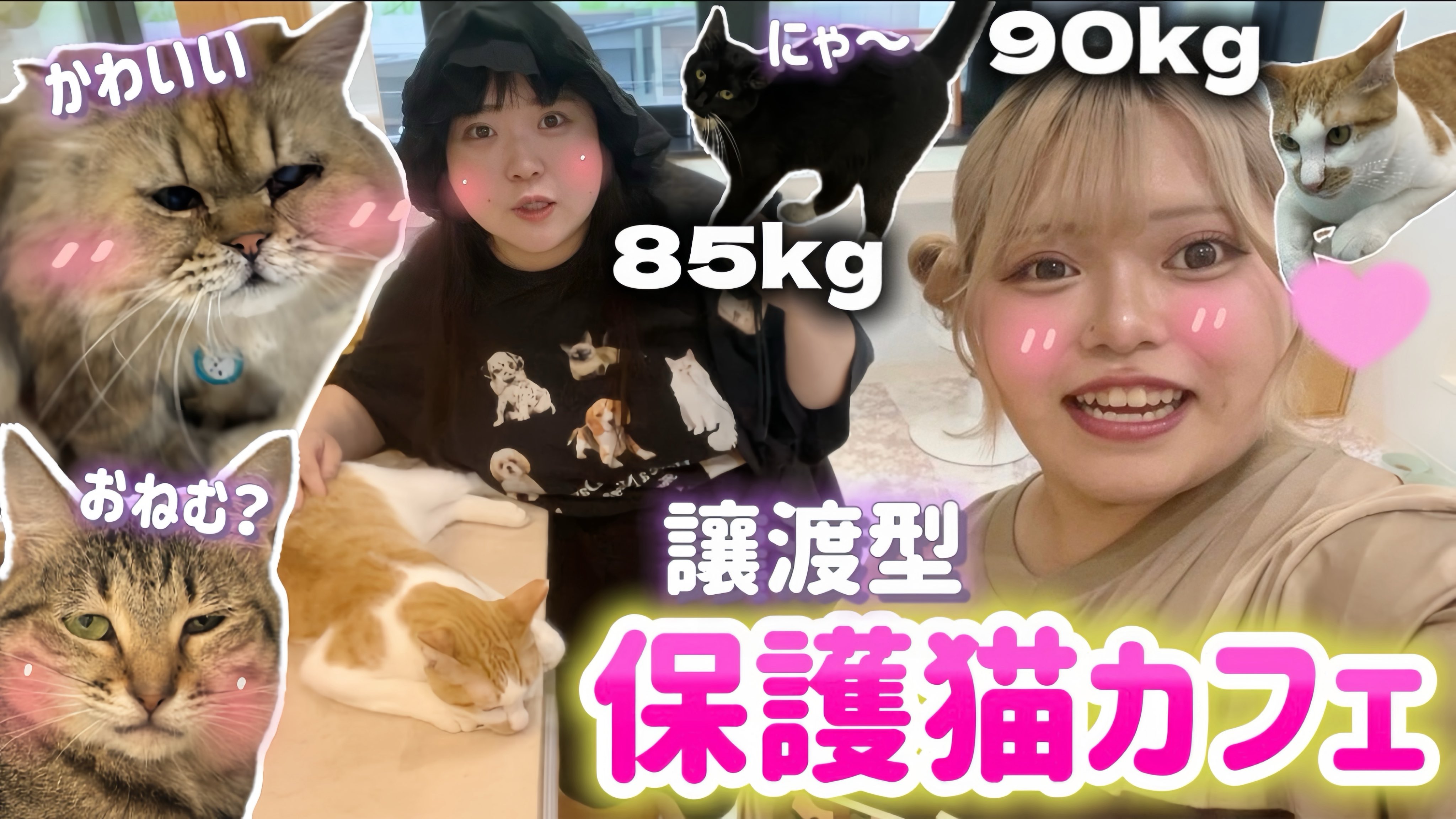 あいちゃん🧸🎀 (@__aichanman00) / X