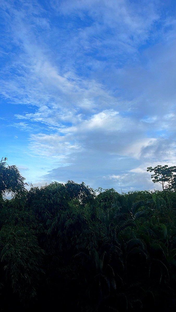 La forma del domingo. Buen día. #DesdeElOasis