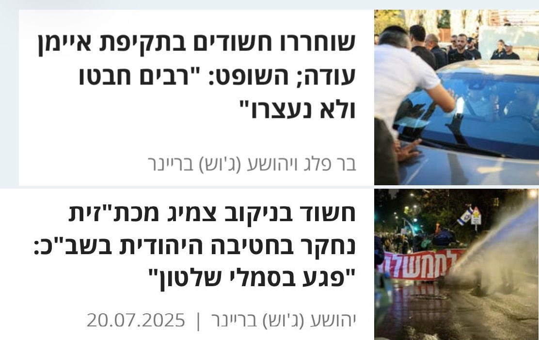 weimanadav's tweet image. ישראל 2025:
חיים של ח״כ ערבי שווים פחות מצמיג של מכת״זית