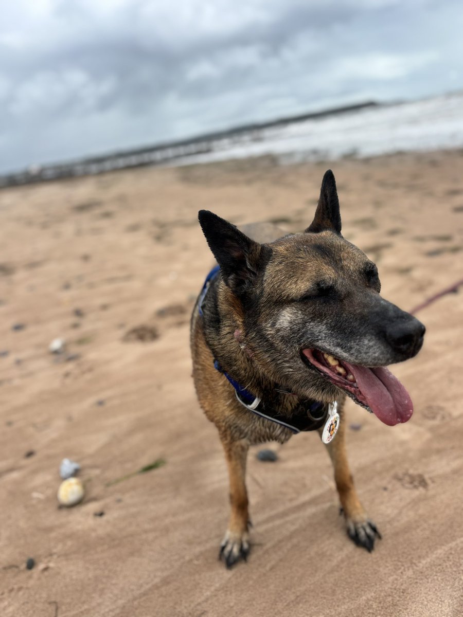 RPDSnap's tweet image. Beach time! 🏖️
